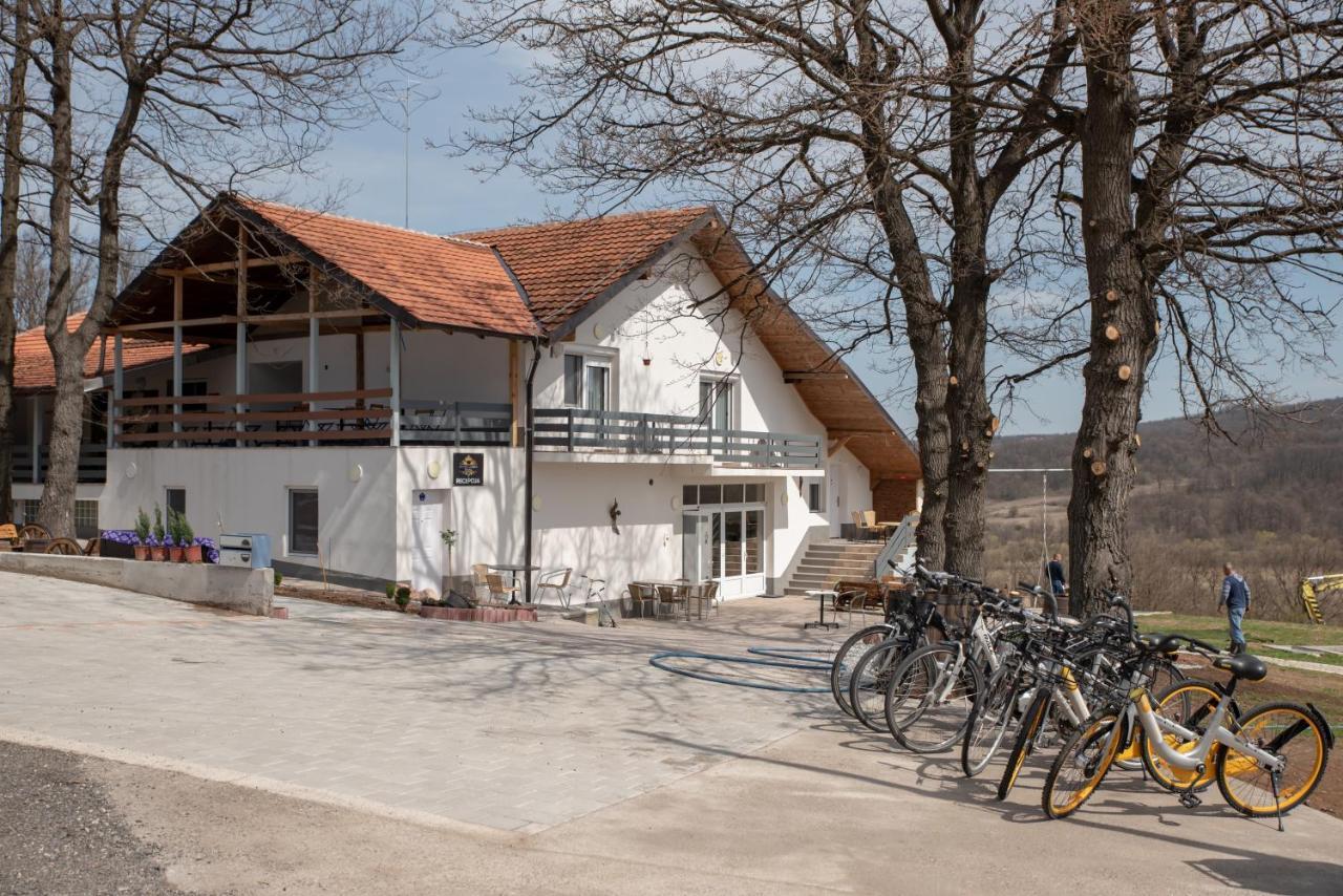 Konak Ljubica Rtanj Boljevac Exterior photo